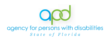 agency for persons with disabilities state of florida